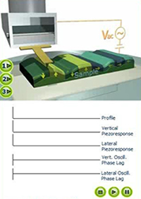 压电响应力显微镜