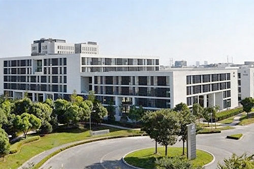 我们公司成立了！