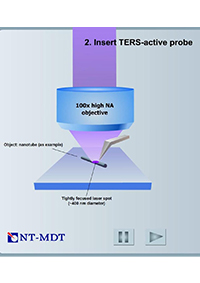 Tip Enhanced Raman Scattering