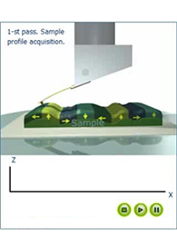 Magnetic Force Microscopy