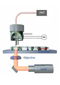 Fiber_SNOM_Collection