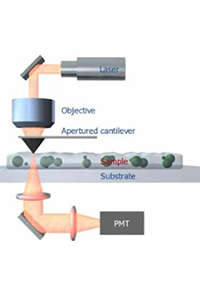Cantilever_SNOM_Transmission