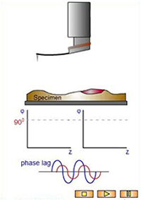 Phase-distance curves
