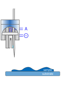 Shear Force Microscopy